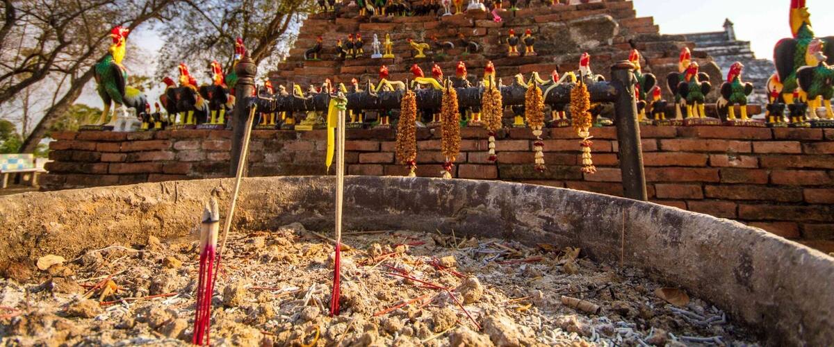 The #weird collection of rooster statuettes in front of Wat Phu Khao Thong near #Ayutthaya, #Thailand 🇹🇭
#LifeAtExpedia