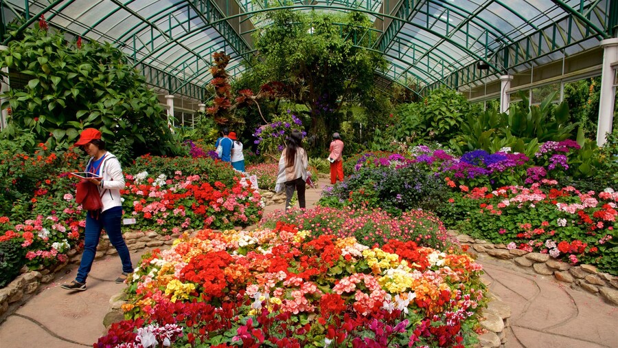 PalĂĄcio de Bhuping que inclui um parque, vistas internas e flores