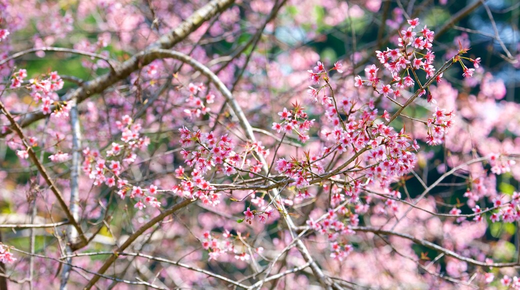 Palacio de Bhuping que incluye flores
