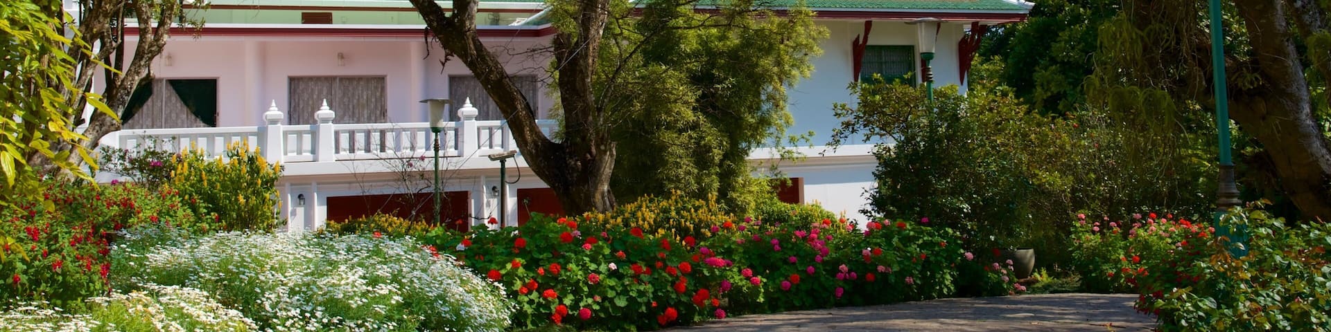 Bhuping Palace featuring a castle and a park