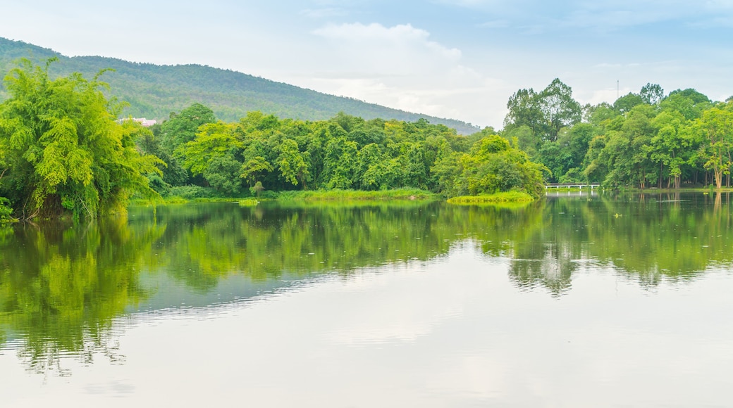 Beautiful green park with lake , Ang Kaew at Chiang Mai Universi