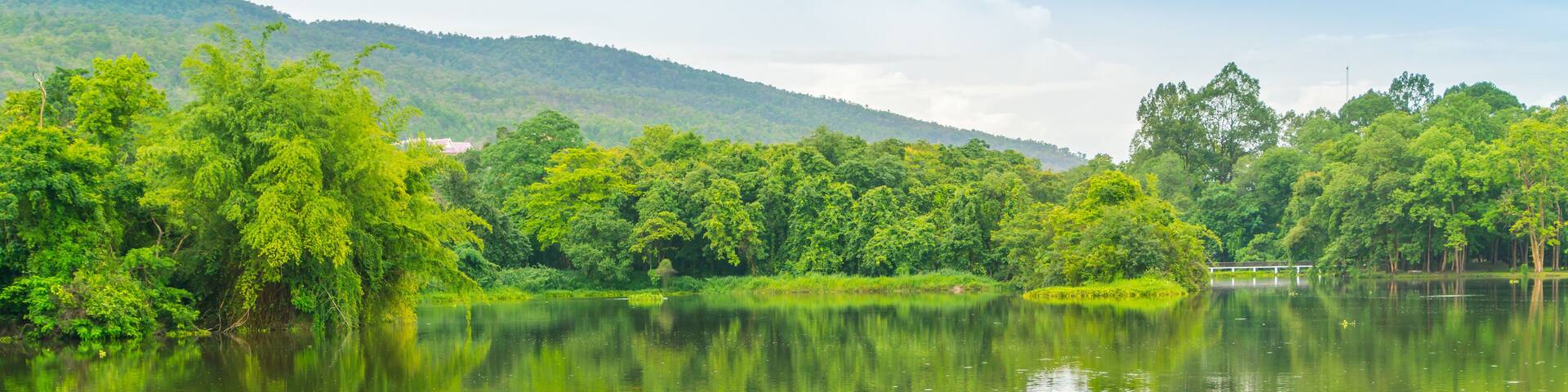 Beautiful green park with lake , Ang Kaew at Chiang Mai Universi