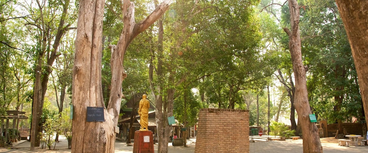 Wat Umong que inclui uma praça ou plaza e um jardim