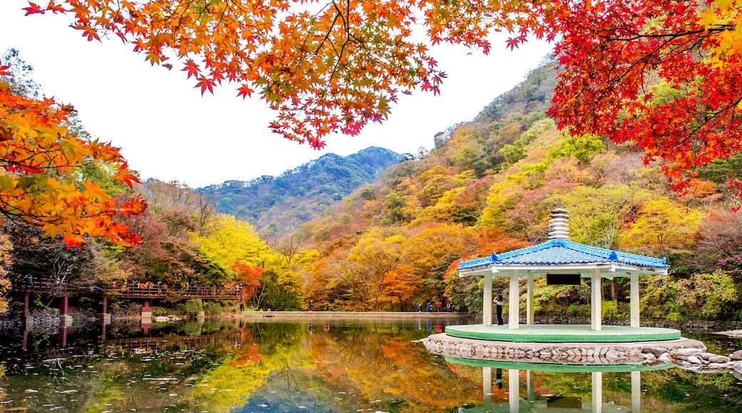 Parc national Naejangsan