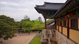 A traditional Korean building with colorful lanterns, surrounded by lush greenery and trees.