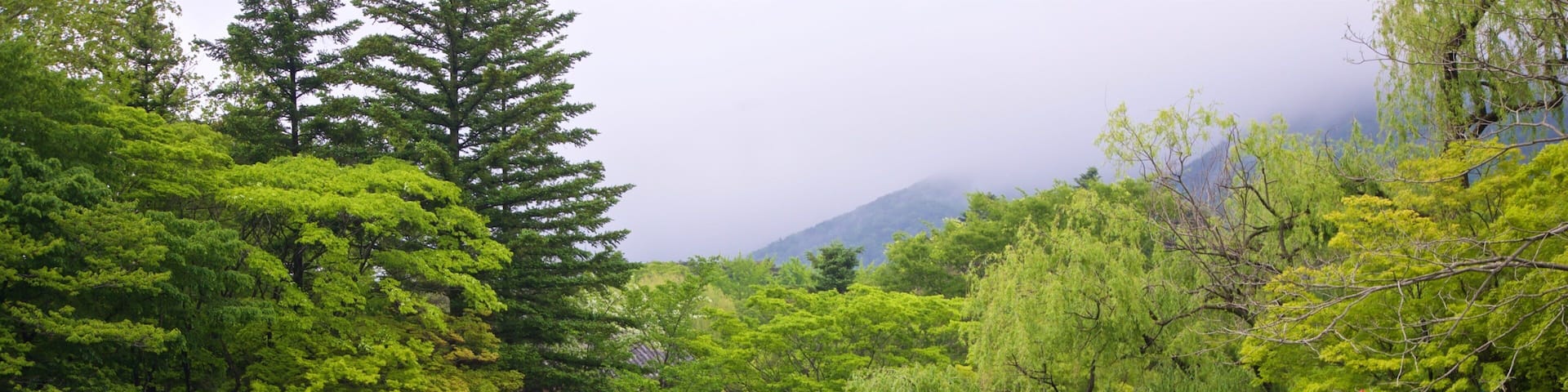 Bulguksa Temple which includes a pond and a park