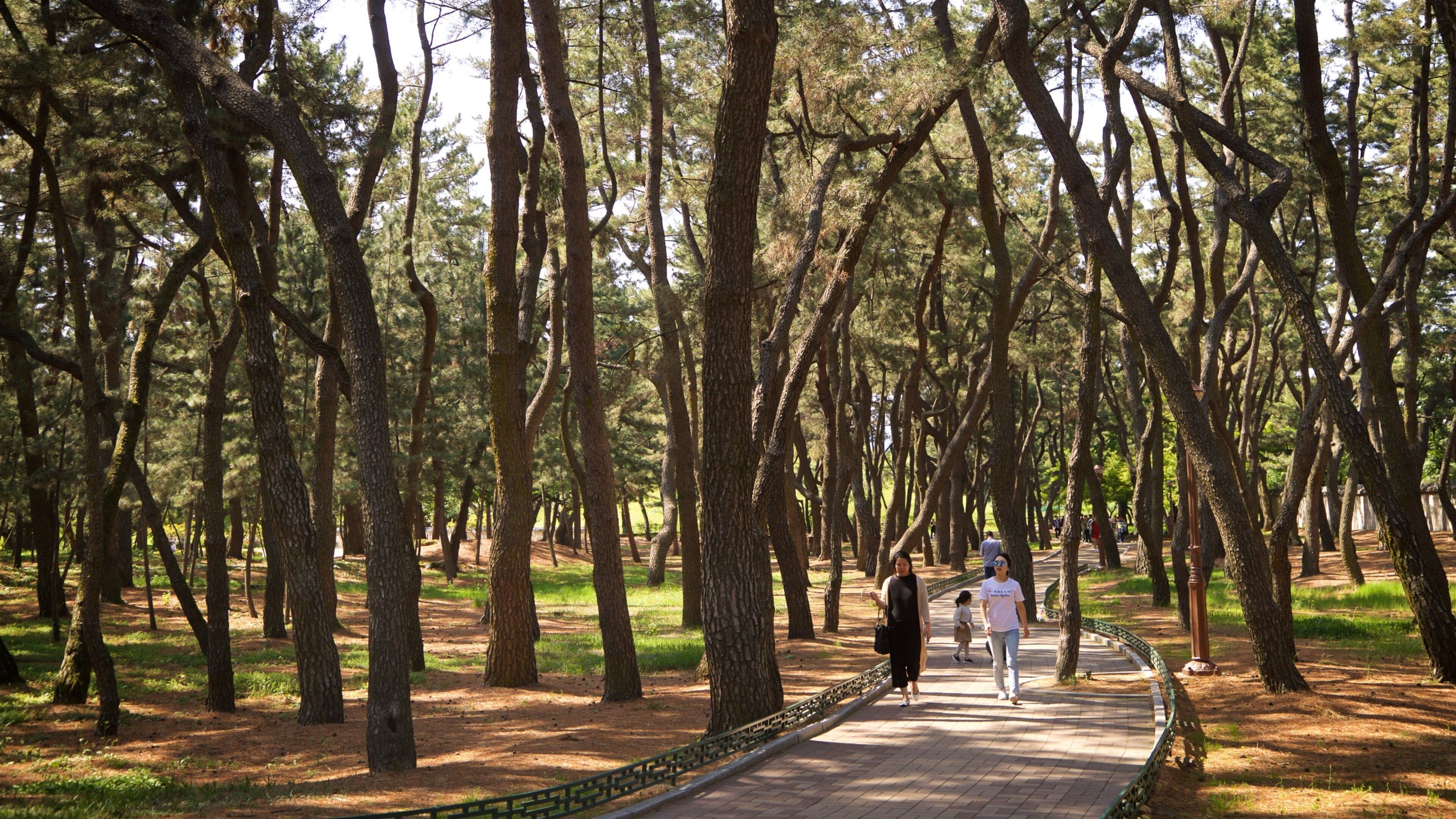 Tumuli Park featuring a garden as well as a family