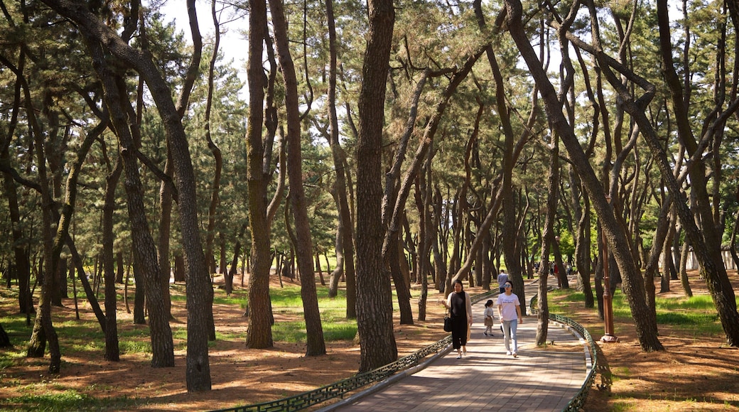 Tumuli Park featuring a garden as well as a family