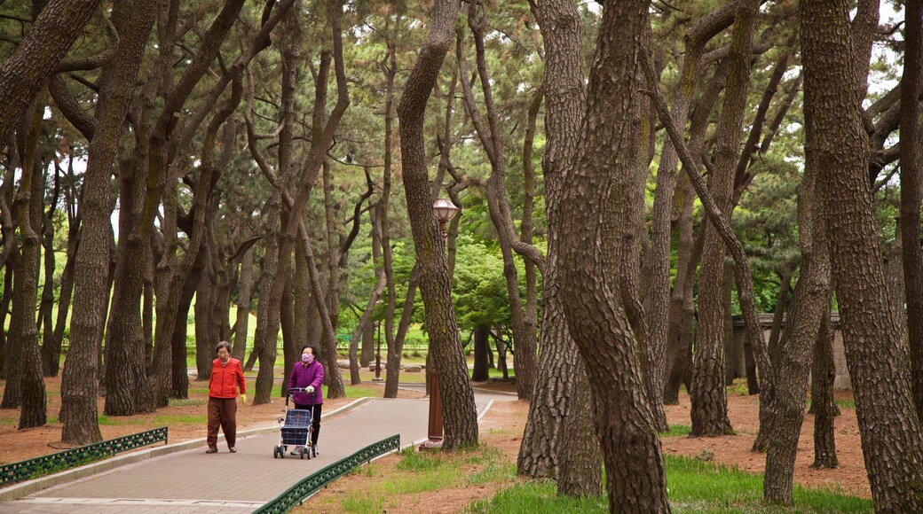 Tumuli Park featuring a park as well as a family