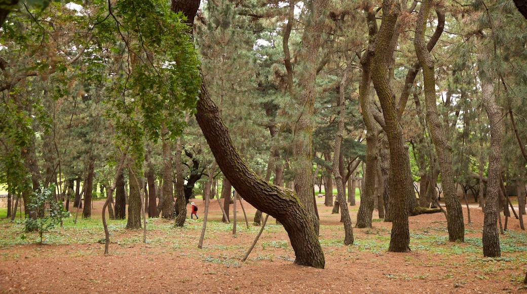 Tumuli Park showing a park