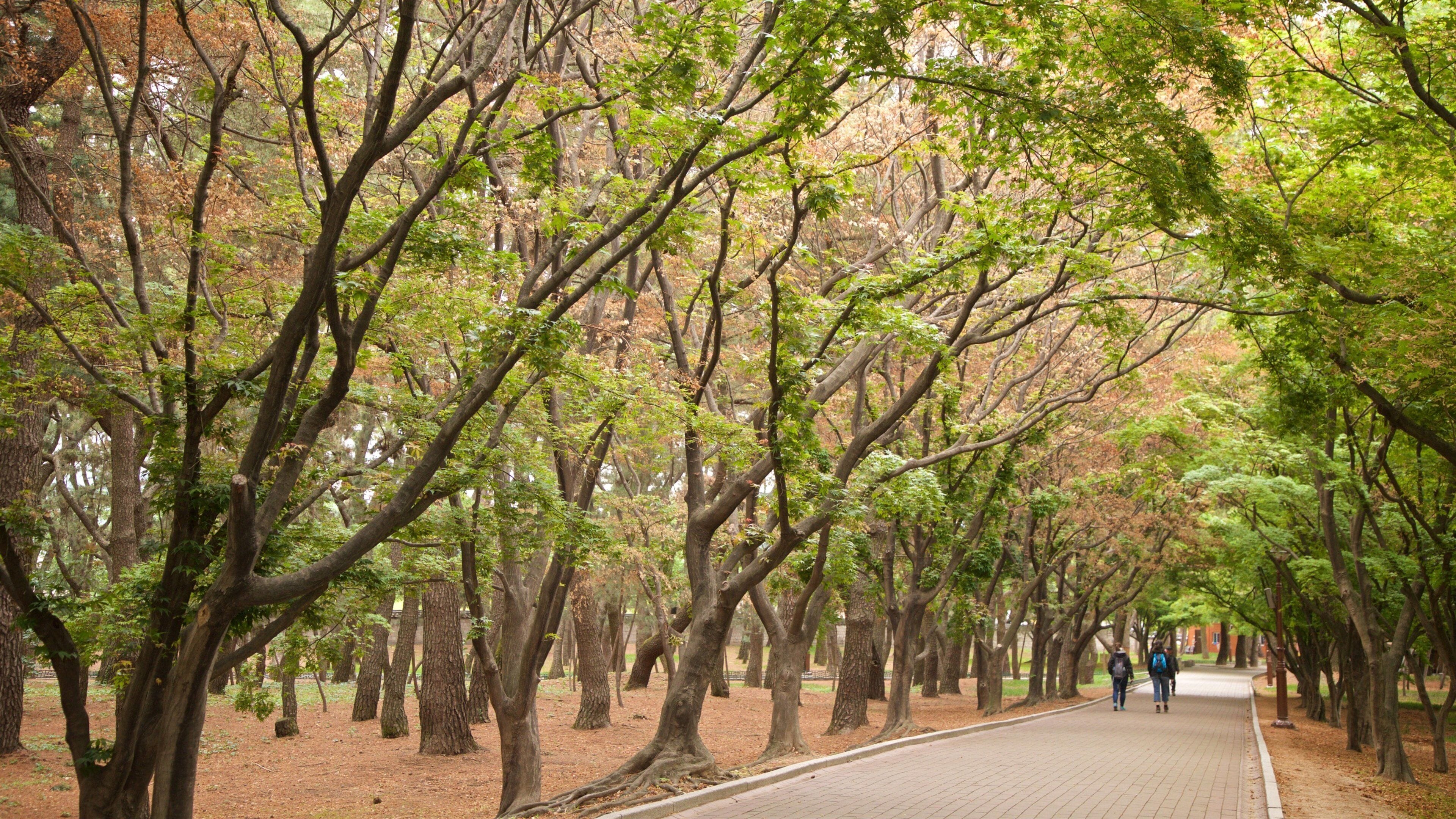 Tumuli Park featuring a park