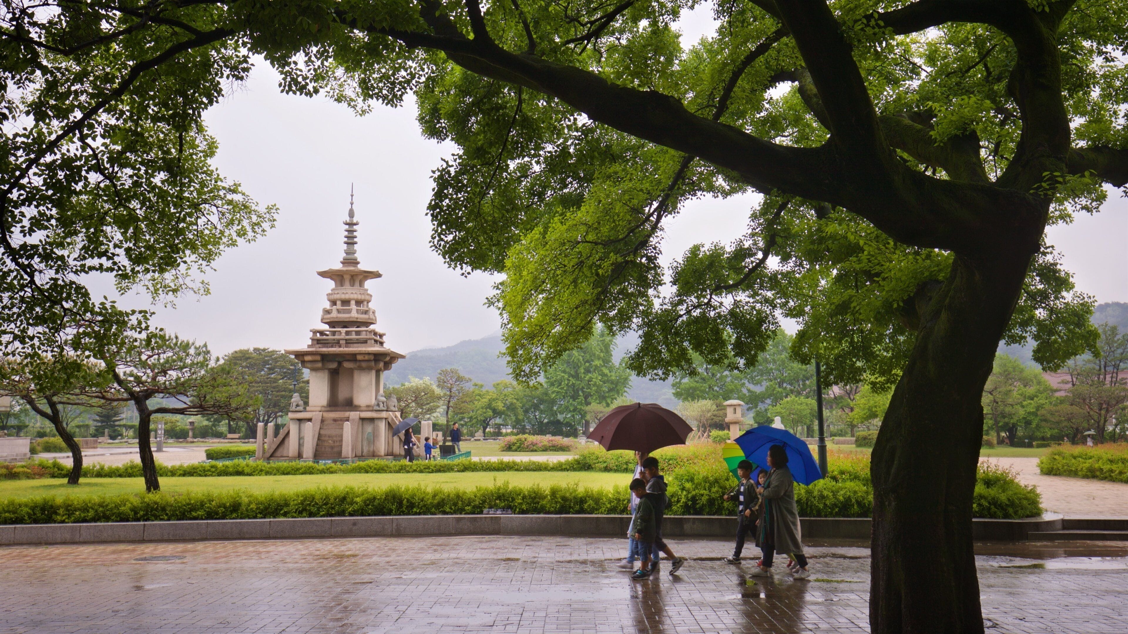 Gyeongju National Museum showing a garden as well as a family