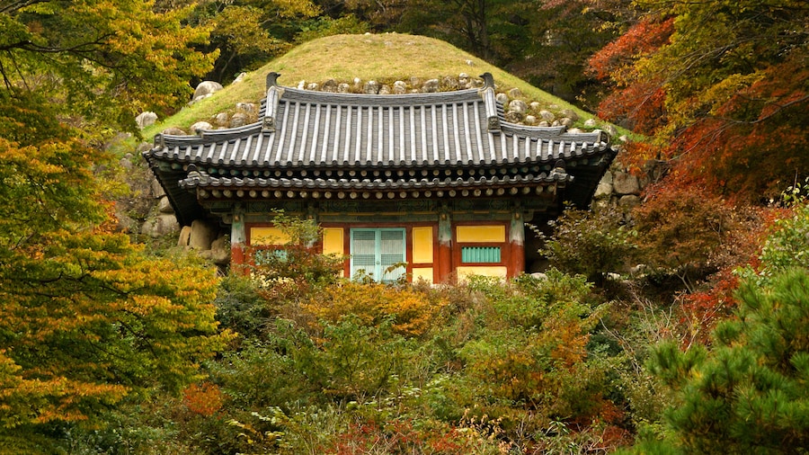 Seokguram Grotto (eremitage)