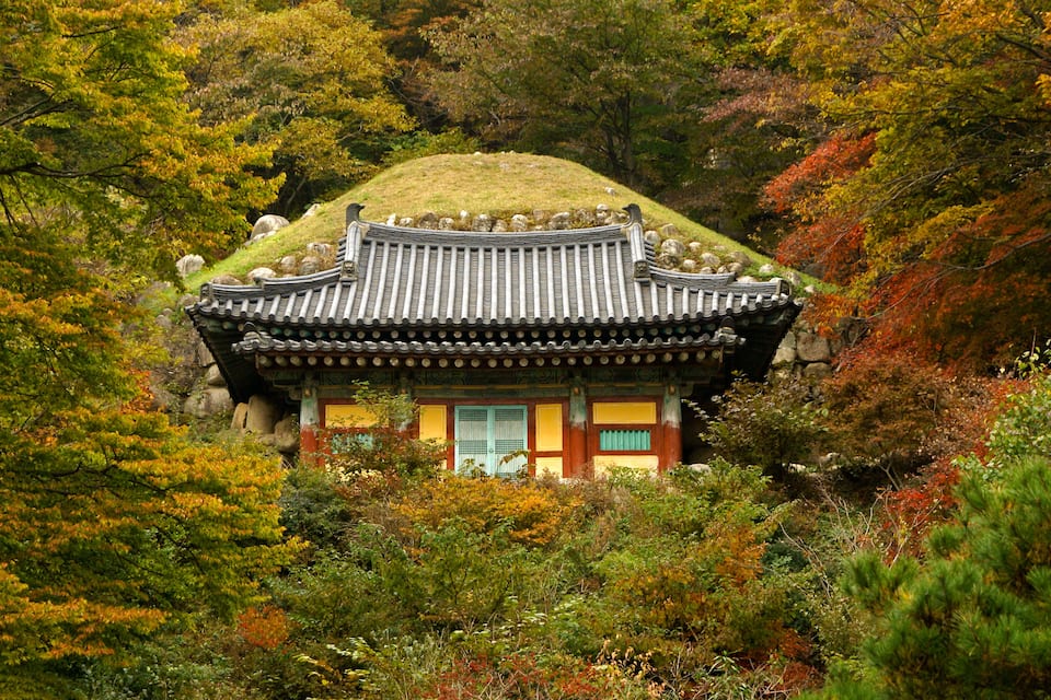 Una casa coreana tradicional amb teulada de gespa, situada entre arbres de tons tardans.