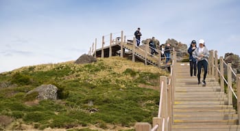 Hallasan National Park which includes hiking or walking and tranquil scenes as well as a small group of people