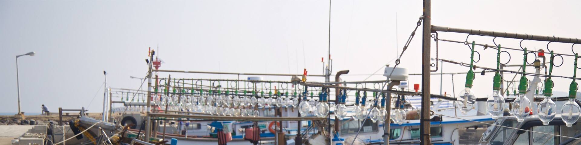 Iho Beach featuring a bay or harbor