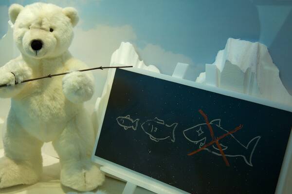 Teddybär-Museum mit einem Innenansichten