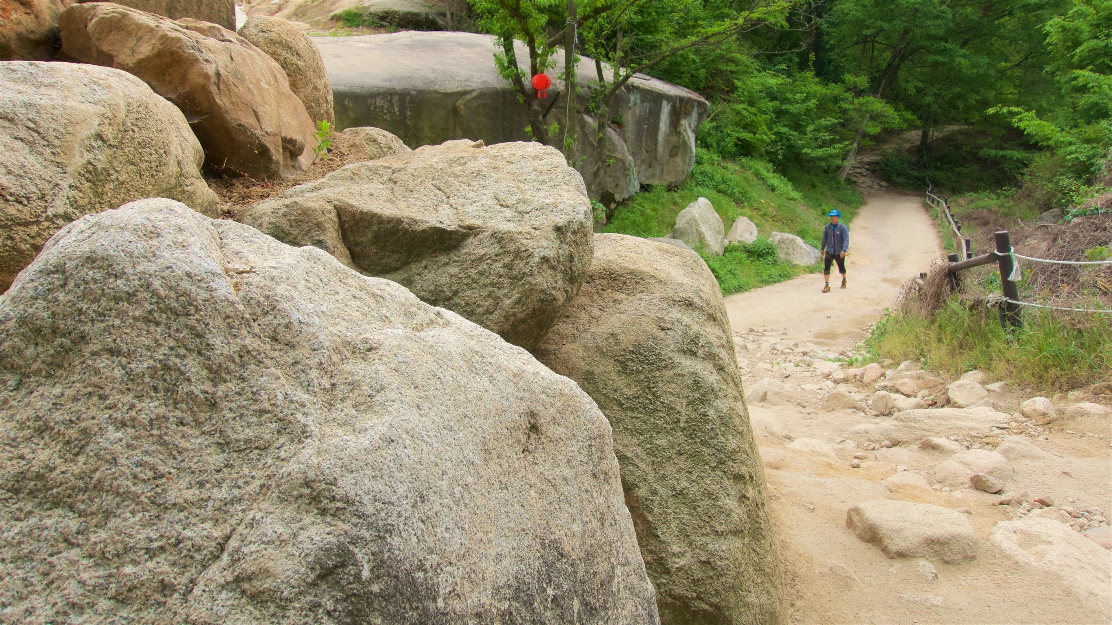 Bukhansan nationalpark presenterar en trädgård