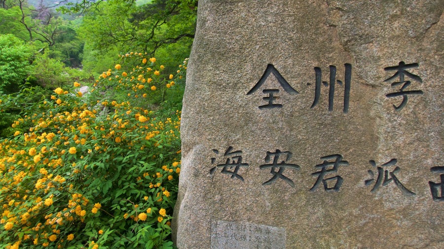 Bukhansan National Park showing signage and wild flowers