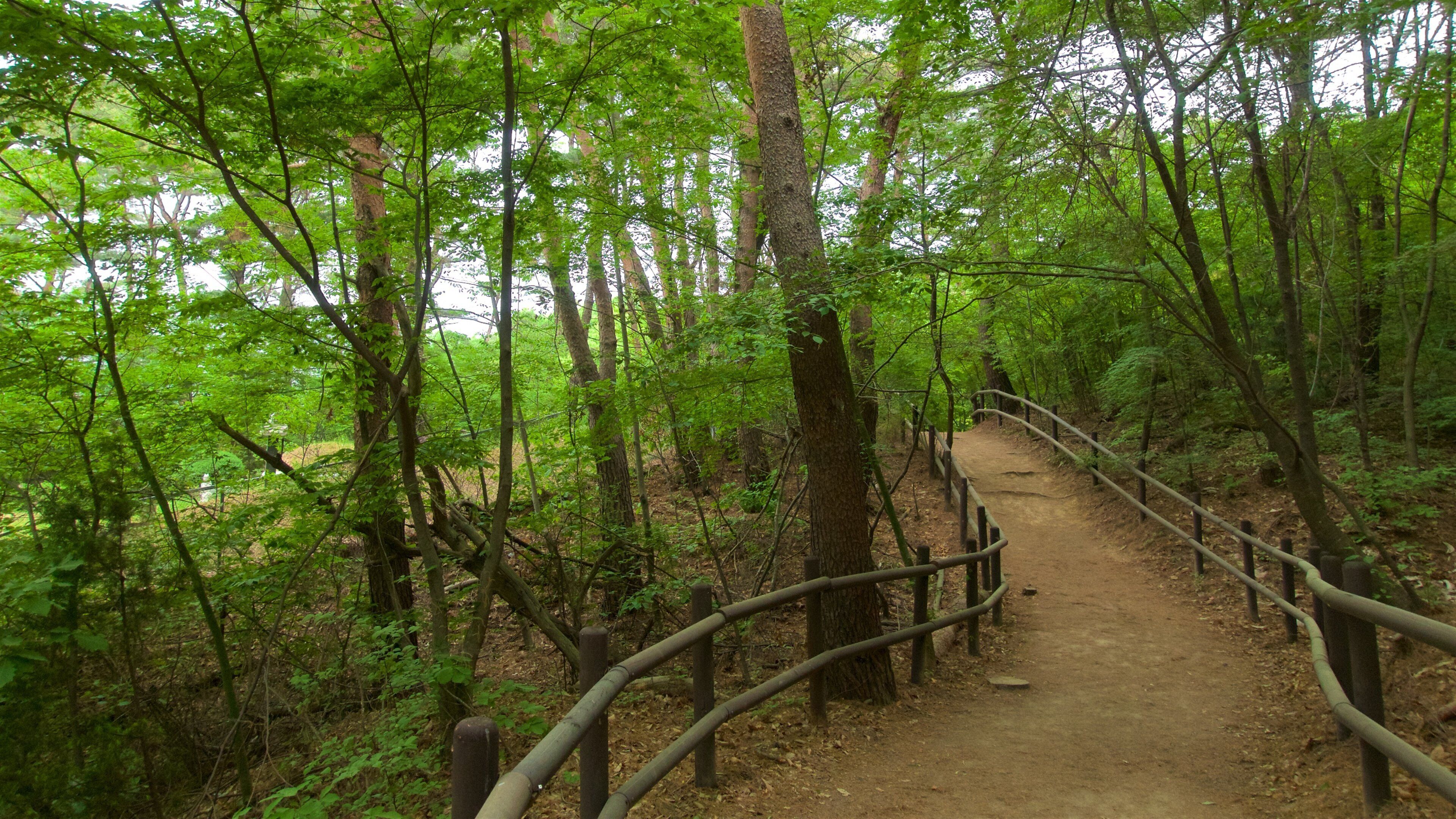 Nationalpark Bukhansan
