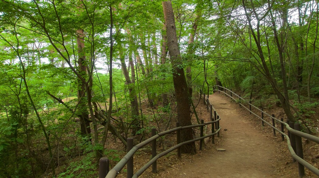 Nationalpark Bukhansan