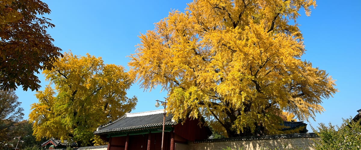 Myeongnyundang Lecture Hall of Sungkyunkwan University, Seoul, South Korea.