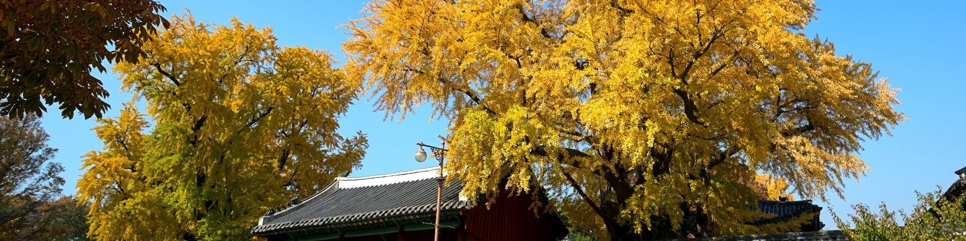 Myeongnyundang Lecture Hall of Sungkyunkwan University, Seoul, South Korea.