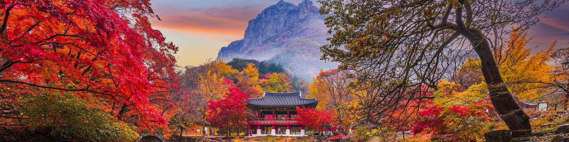 Colorful autumn with beautiful maple leaf in sunset at Baekyangsa temple in Naejangsan national park, South Korea.