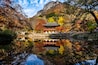 Reflections of Baegyangsa (a traditional korean temple) in South Korea during autumn.; Shutterstock ID 700482055; Purchase Order: -