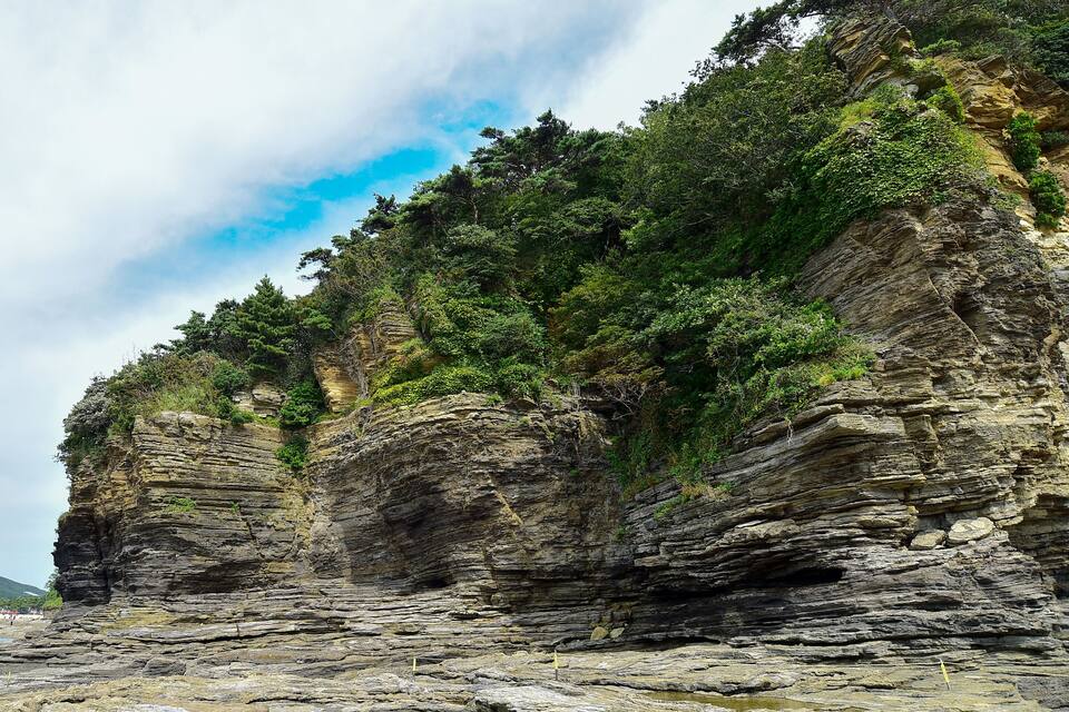 A rocky cliff with layered rock formations and dense green vegetation.