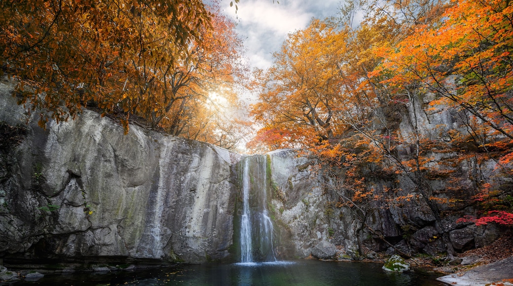 Waterfall flowing in autumn forest on national park
