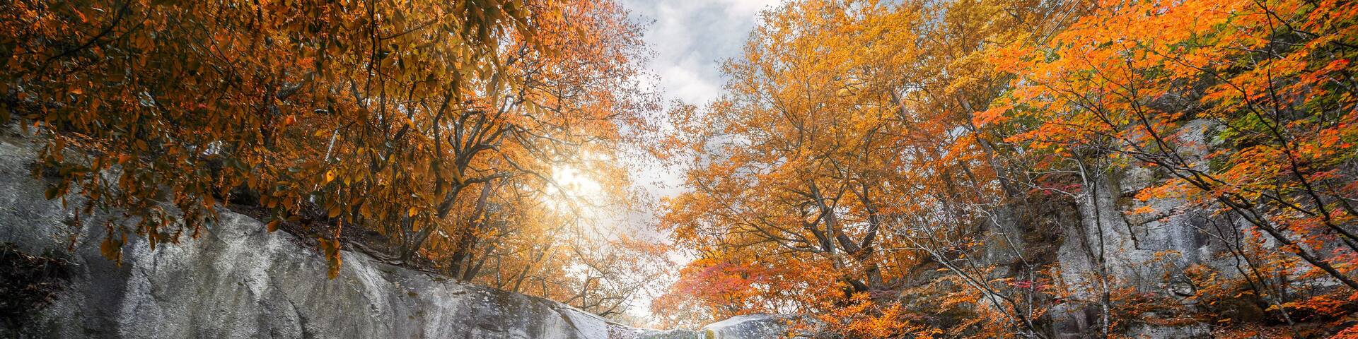 Waterfall flowing in autumn forest on national park