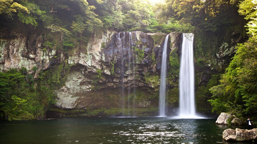 Cheonjiyeon Waterfall which includes a waterfall