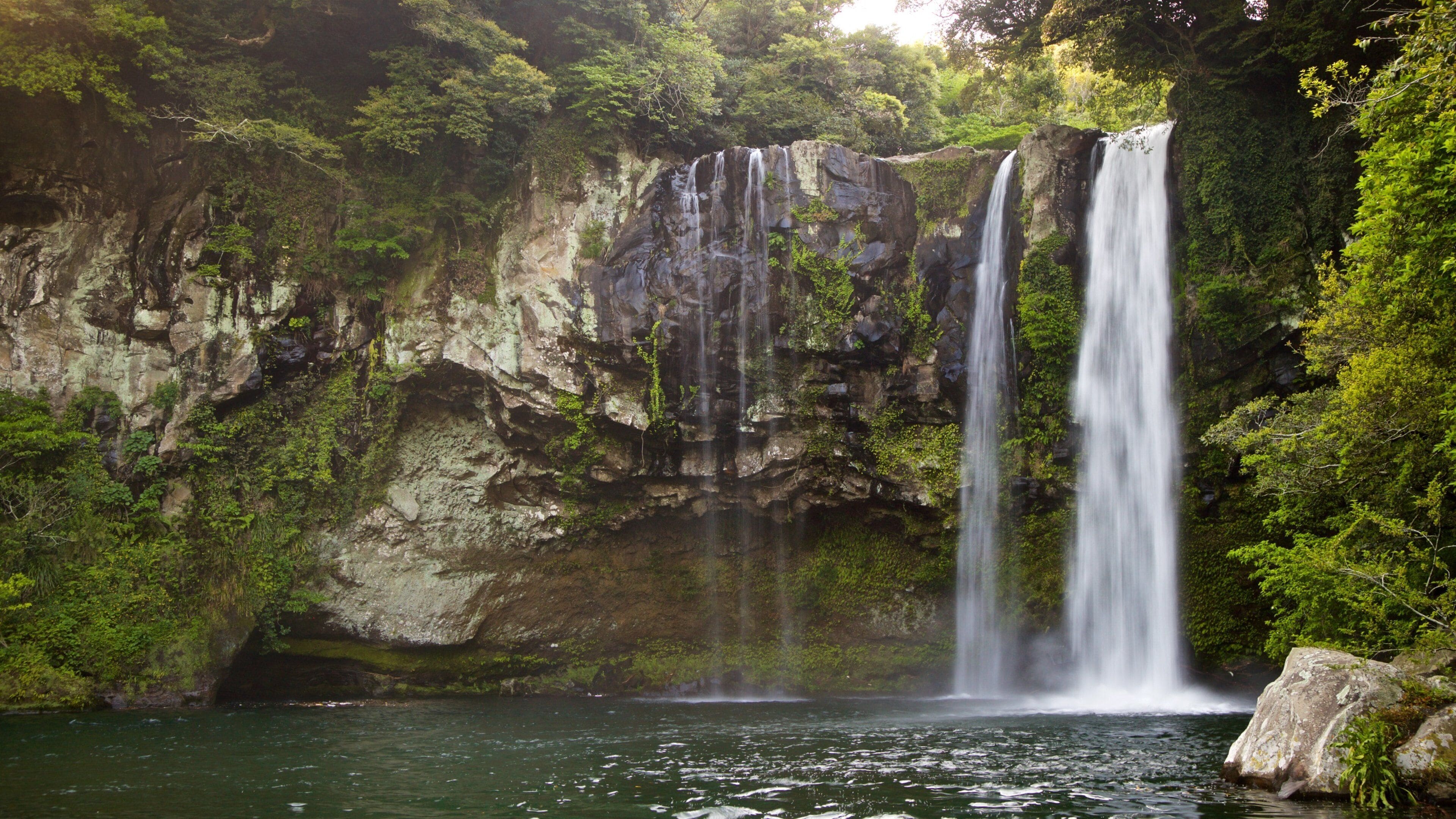 Cheonjiyeon Waterfall which includes a waterfall