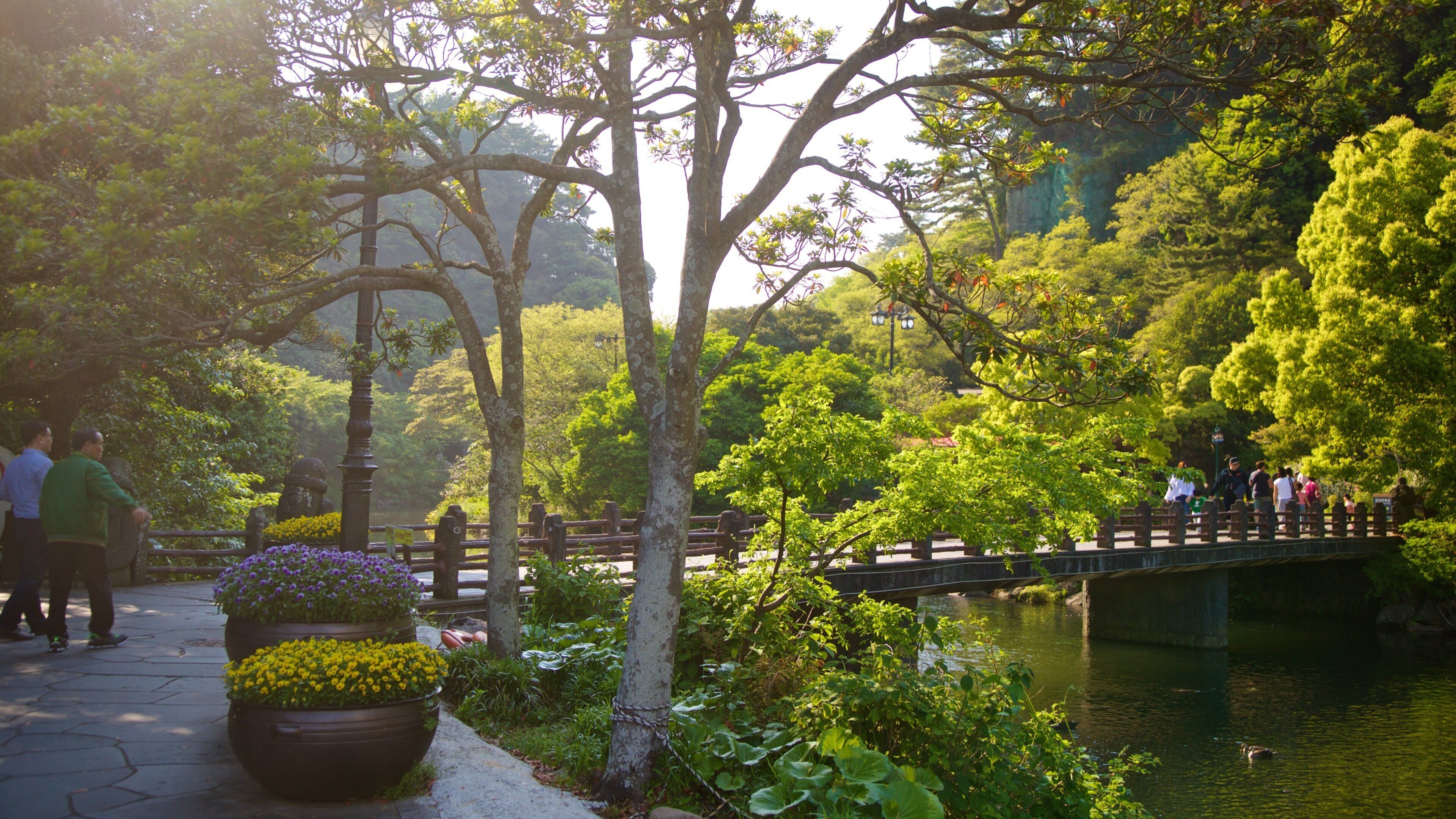 Cheonjiyeon Waterfall which includes a river or creek, flowers and a garden