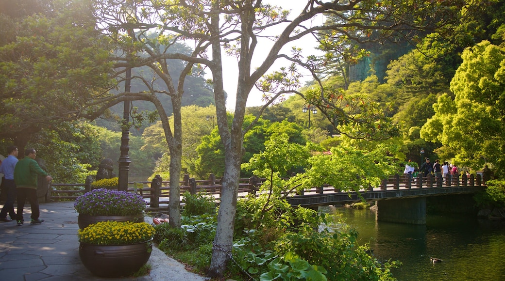 Cheonjiyeon Waterfall which includes a river or creek, flowers and a garden