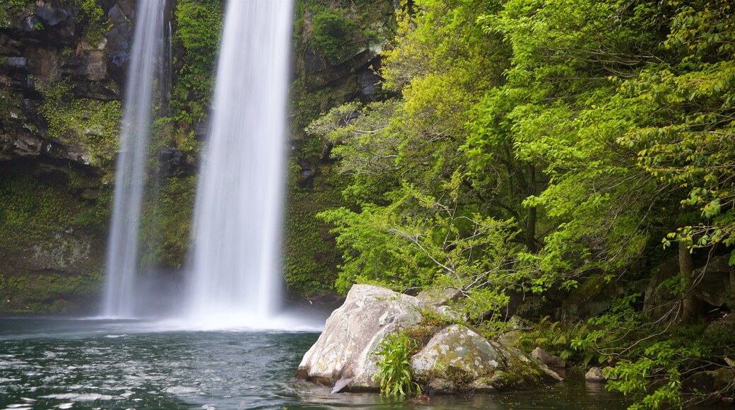 Cheonjiyeon Waterfall showing a waterfall