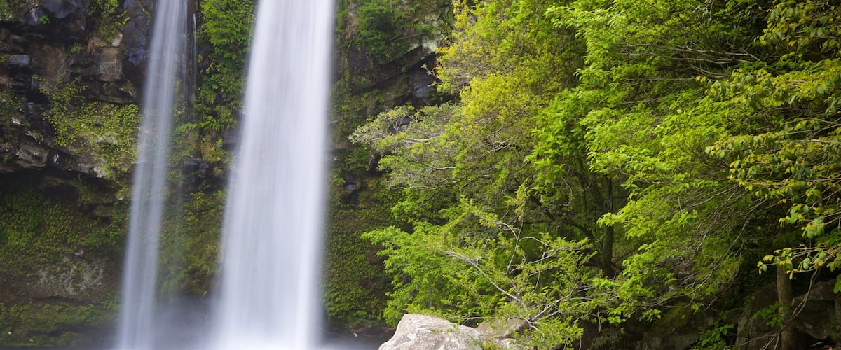 Cheonjiyeon Waterfall showing a waterfall