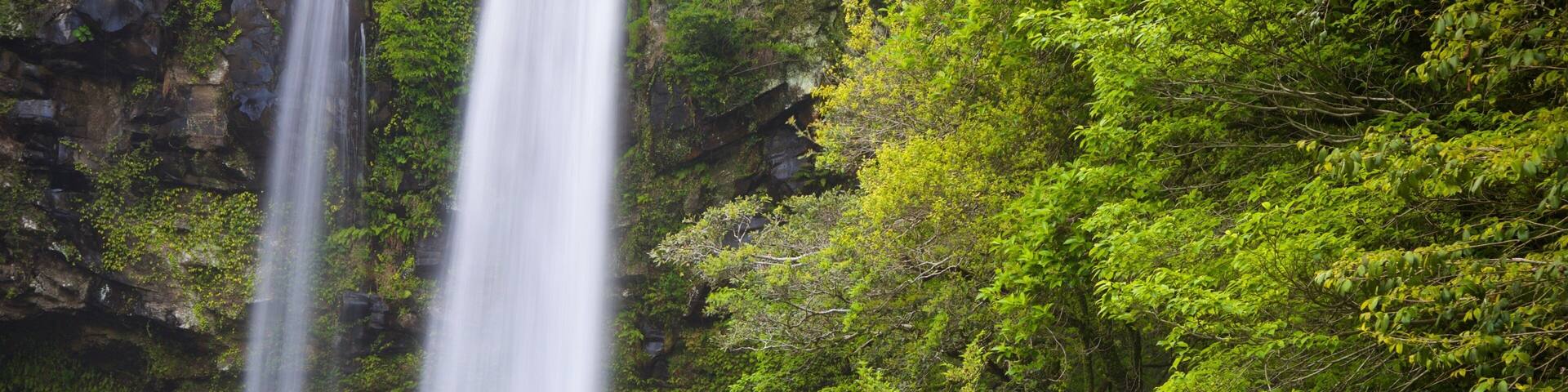 Cheonjiyeon Waterfall showing a waterfall