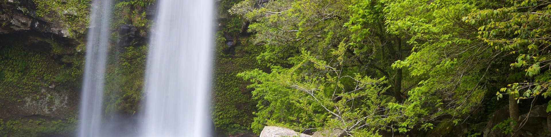 Cheonjiyeon Waterfall showing a waterfall