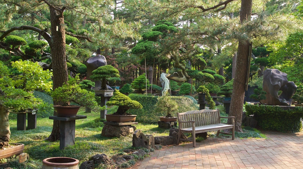 Hallim Park which includes a garden