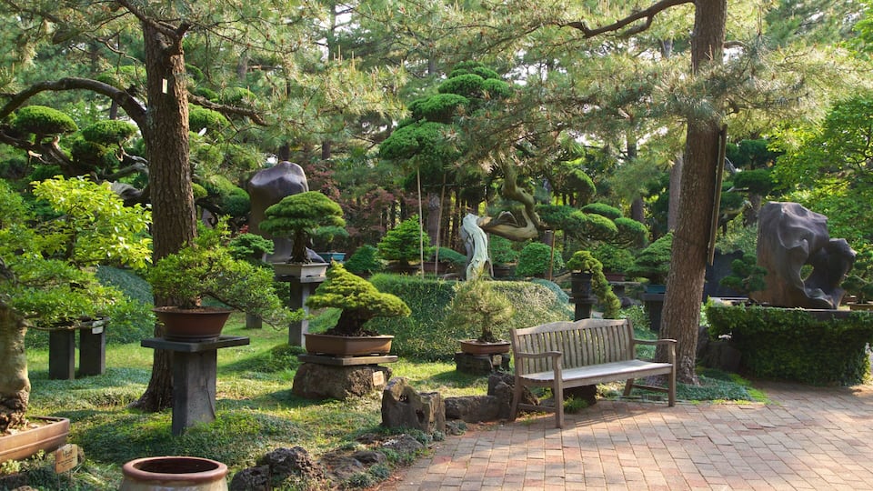 Hallim Park which includes a garden