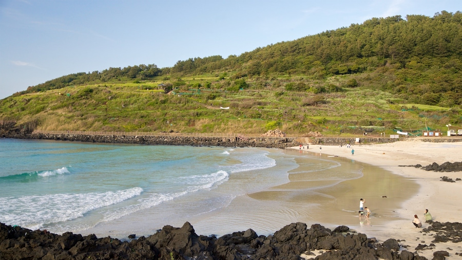 St Maarten and St Martin which includes general coastal views and a beach