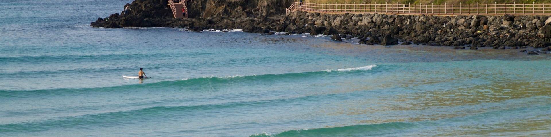 St Maarten and St Martin which includes surfing, general coastal views and rugged coastline