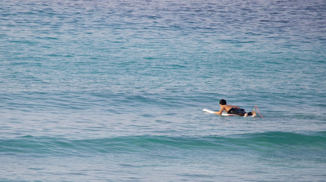 St Maarten and St Martin featuring surfing and general coastal views as well as an individual male