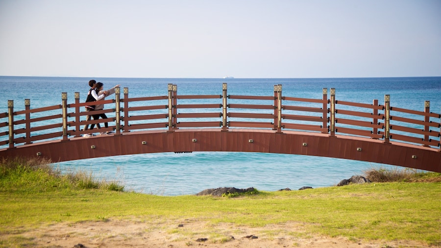 St Maarten and St Martin which includes a bridge and general coastal views as well as a couple