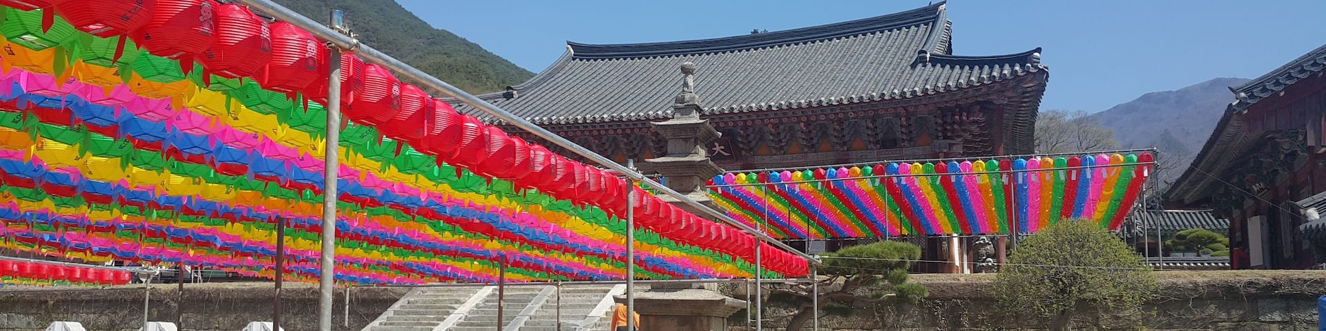 For the birthday of buhda