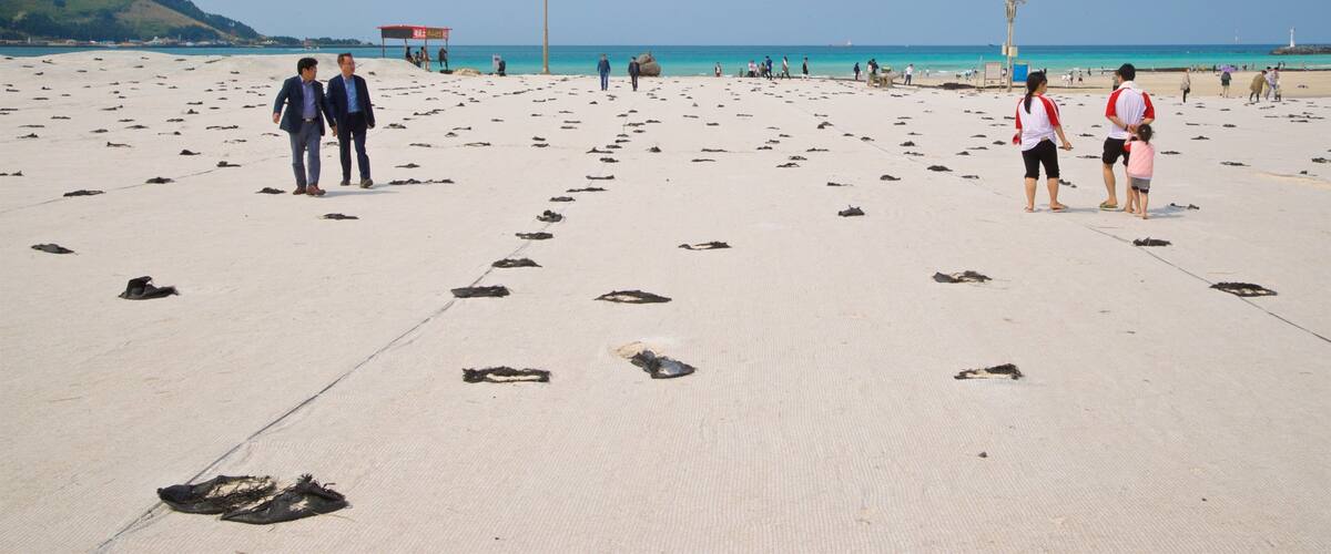 Hyeopjae Beach showing a sandy beach