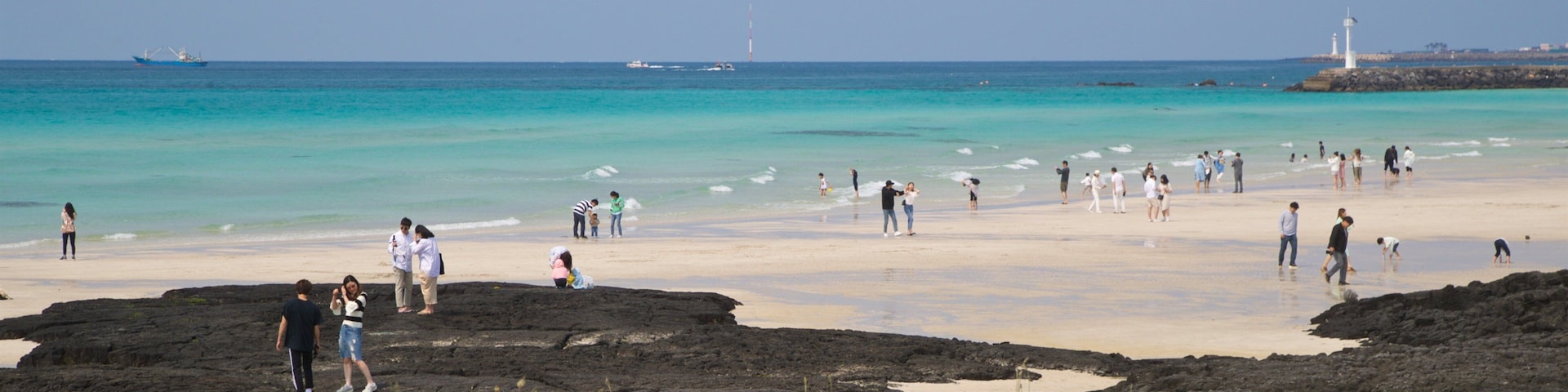 Hyeopjae Beach showing general coastal views and a sandy beach