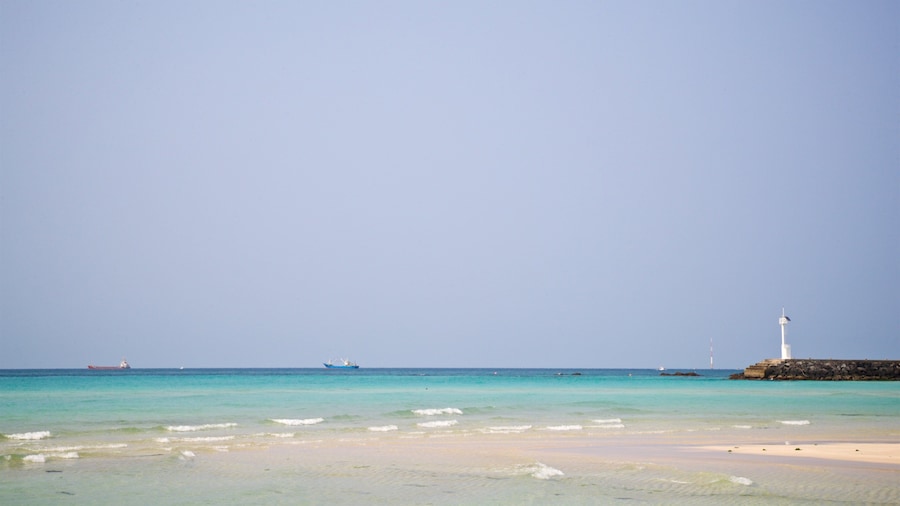 Hyeopjae Beach showing tropical scenes, general coastal views and a sandy beach